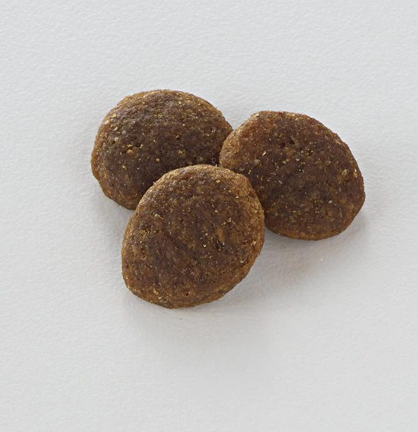 Best deal 🎁 Nutro Limited Ingredient Diet Sensitive Support with Real Lamb & Sweet Potato Grain-Free Large Breed Adult Dry 🐕 Dog Food 😍 - Image 3