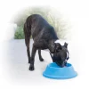 Outlet 😀 K&H Pet Products Coolin' Bowl Plastic 🐶 Dog & Cat Bowl 🛒