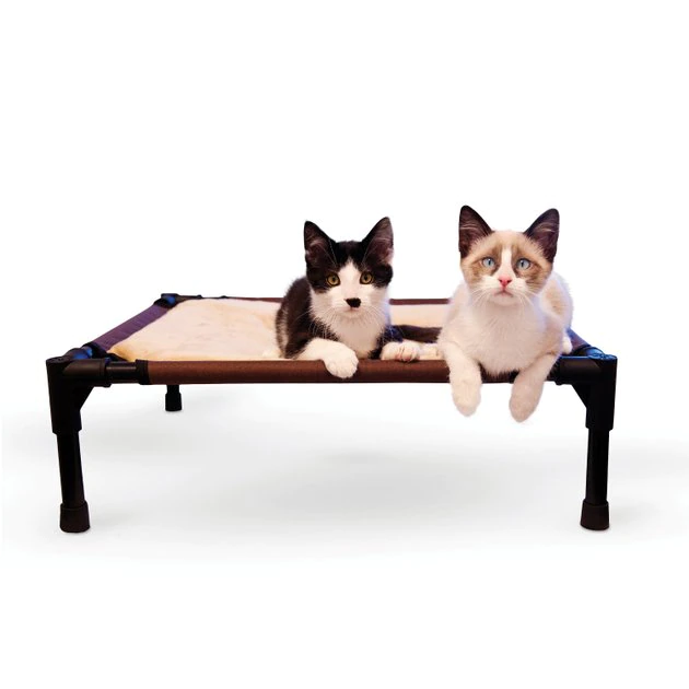 Budget ๐คฉ K&H Pet Products Comfy Pet Cot Elevated Pet Bed โ