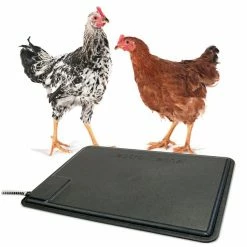 Best deal 😀 K&H Pet Products Thermo-Chicken Heated Pad 🧨