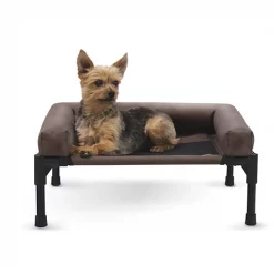 Buy 🤩 K&H Pet Products Original Bolster Pet Cot Elevated 🦮 Dog Bed, Chocolate 🤩