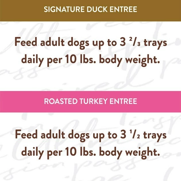 Top 10 😀 Nutro Ultra Grain-Free Filets in Gravy Taste of the Classics Variety Pack Adult Wet 🦮 Dog Food Trays 🎁 - Image 9