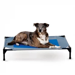 Discount 🔥 K&H Pet Products Coolin' Pet Cot Elevated Pet Bed ❤️