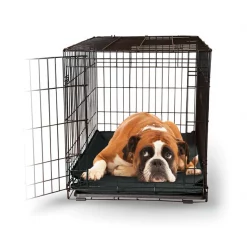 Flash Sale 🛒 K&H Pet Products Odor-Control 🦮 Dog Crate Pad 🌟