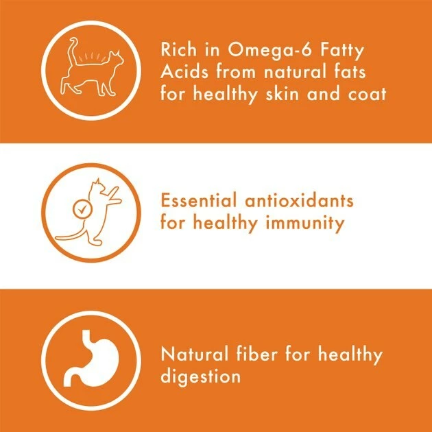 Promo โญ Nutro Wholesome Essentials Adult Chicken & Brown Rice Recipe Dry Cat Food ๐ - Image 4