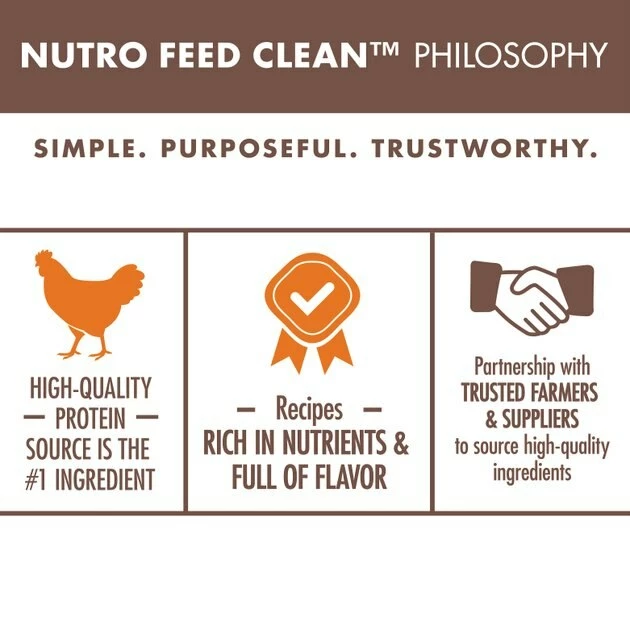 Promo โญ Nutro Wholesome Essentials Adult Chicken & Brown Rice Recipe Dry Cat Food ๐ - Image 5