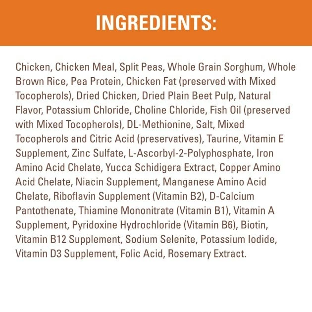 Promo โญ Nutro Wholesome Essentials Adult Chicken & Brown Rice Recipe Dry Cat Food ๐ - Image 7