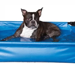 Top 10 🔔 K&H Pet Products 🦮 Dog Pool & Pet Bath 🔔