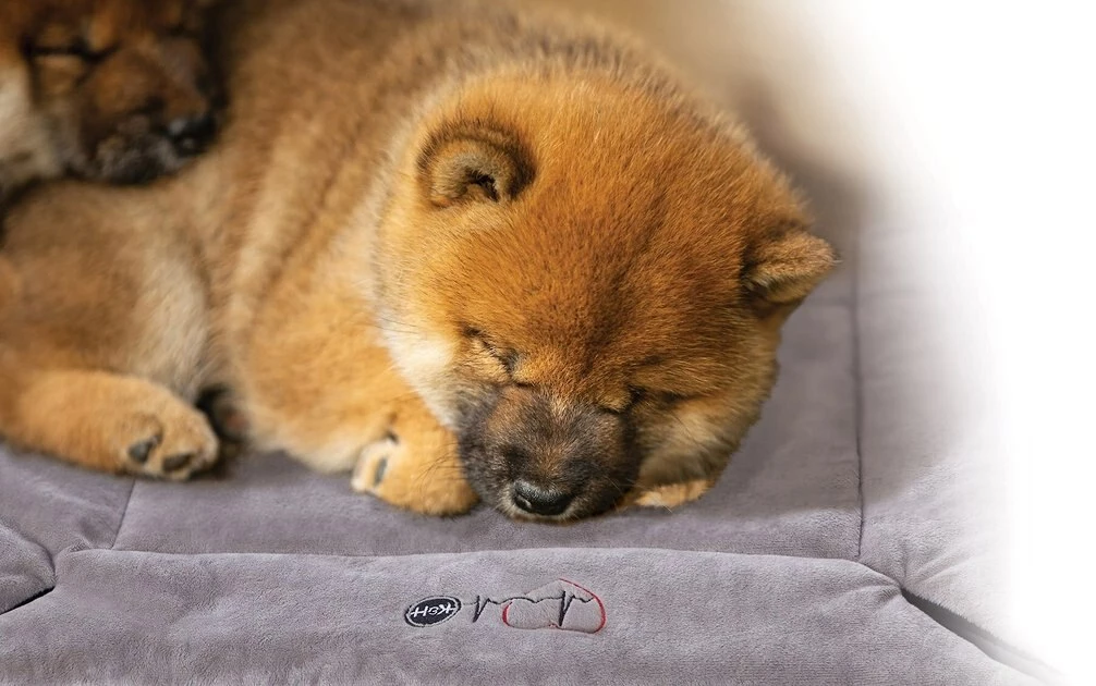Cheap ๐ฏ K&H Pet Products ๐ฉ Mother's Heartbeat Fleece Puppy Crate Pad ๐ - Image 9