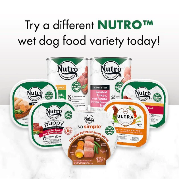 Best reviews of 🥰 Nutro So Simple Meal Complement Chicken & Duck Recipe in Bone Broth Grain-Free Wet 🐕 Dog Food Topper, 2-oz tray, case of 10 ✔️ - Image 9