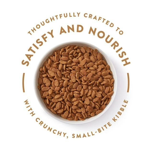 Hot Sale 🛒 Nutro Ultra Puppy Dry 🐶 Dog Food 😉 - Image 4