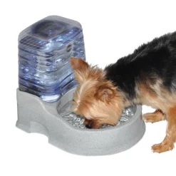 Budget 😍 K&H Pet Products CleanFlow Filtered Water 🦮 Dog Bowl with Reservoir ⭐