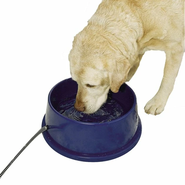 Top 10 ๐ K&H Pet Products Thermal-Bowl Plastic ๐ Dog & Cat Bowl, 96-oz ๐