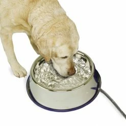 Top 10 😍 K&H Pet Products Thermal-Bowl Stainless Steel 🦮 Dog & Cat Bowl, 102-oz 💯