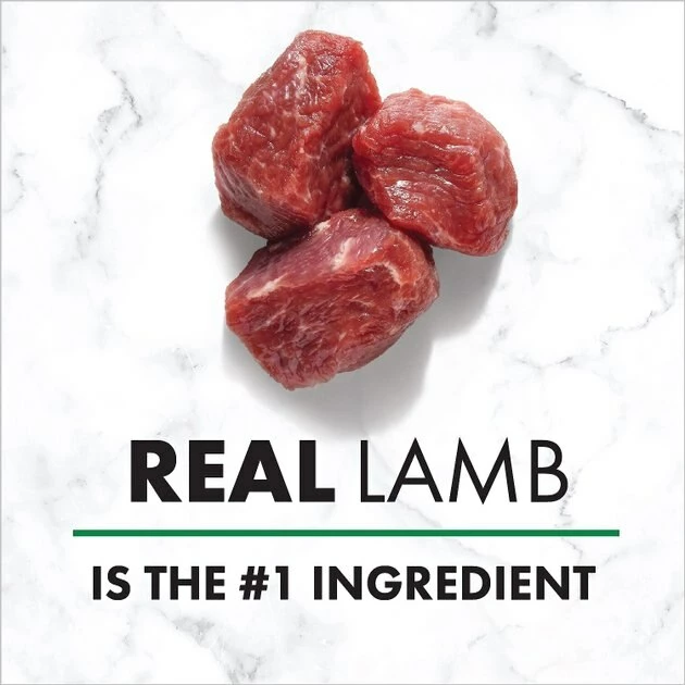 Flash Sale ๐ Nutro Grain-Free Savory Lamb & Vegetables Stew Cuts in Gravy Adult ๐ฆฎ Dog Food Trays โญ - Image 5