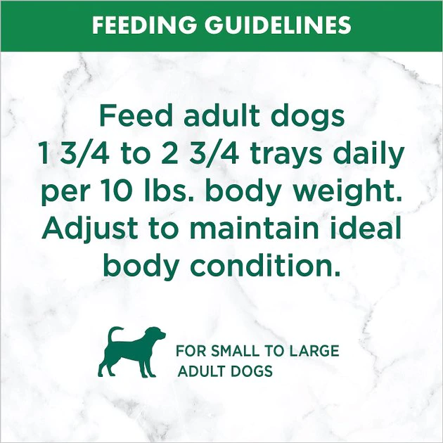 Flash Sale ๐ Nutro Grain-Free Savory Lamb & Vegetables Stew Cuts in Gravy Adult ๐ฆฎ Dog Food Trays โญ - Image 9